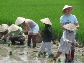 Agri Tours in Hoi An